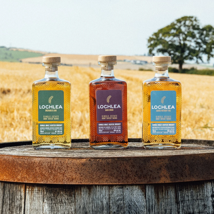 Lochlea Dark Briar: A Rich New Chapter in the Core Range